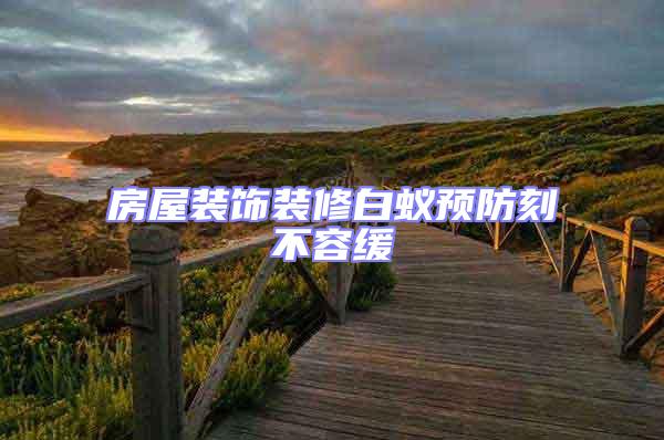 房屋裝飾裝修白蟻預(yù)防刻不容緩