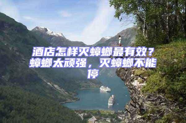 酒店怎樣滅蟑螂最有效?蟑螂太頑強,滅蟑螂不能停