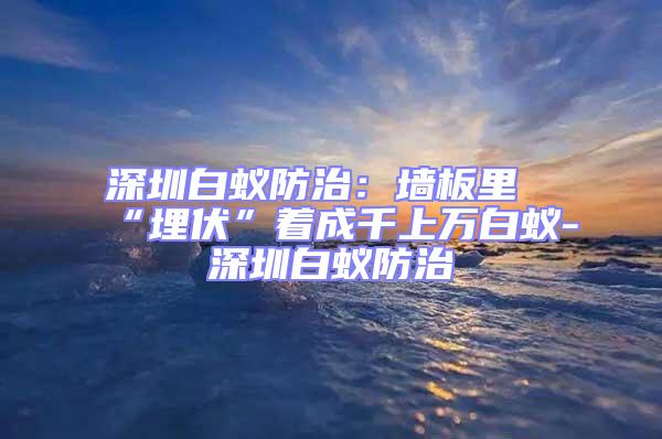 深圳白蟻防治:墻板里“埋伏”著成千上萬白蟻-深圳白蟻防治