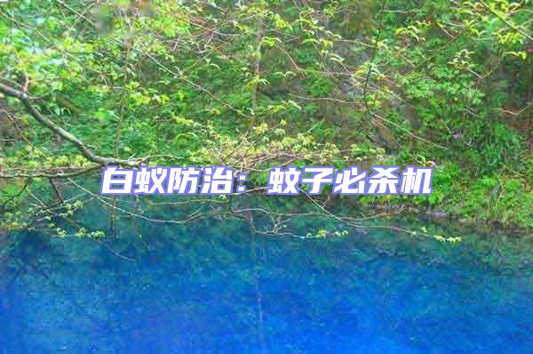 白蟻防治:蚊子必殺機