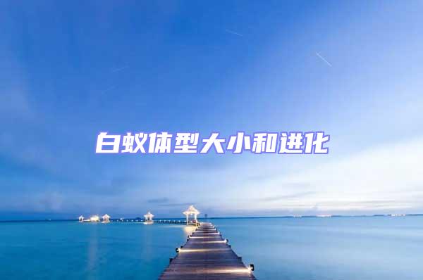 白蟻體型大小和進(jìn)化