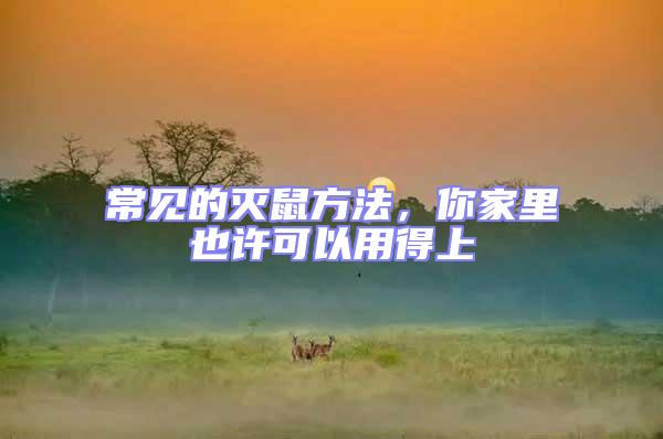 常見的滅鼠方法，你家里也許可以用得上