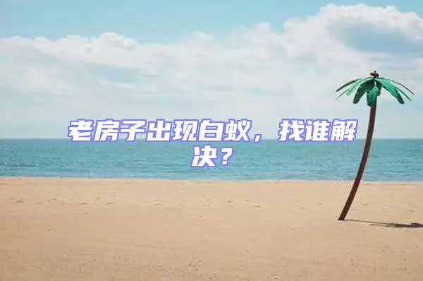 老房子出現(xiàn)白蟻，找誰(shuí)解決？