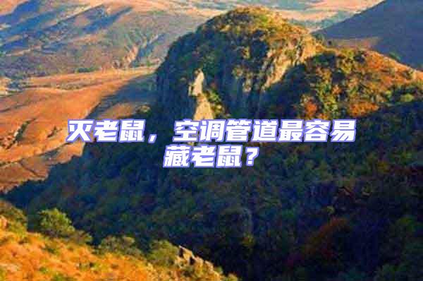 滅老鼠，空調管道最容易藏老鼠？