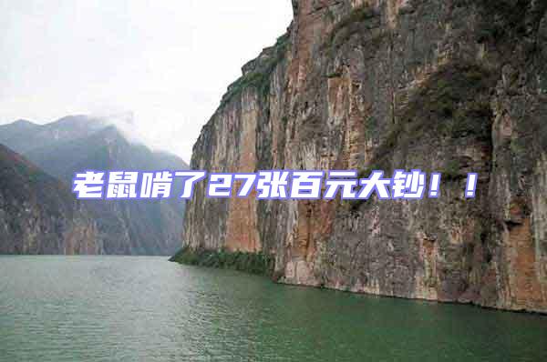 老鼠啃了27張百元大鈔??！