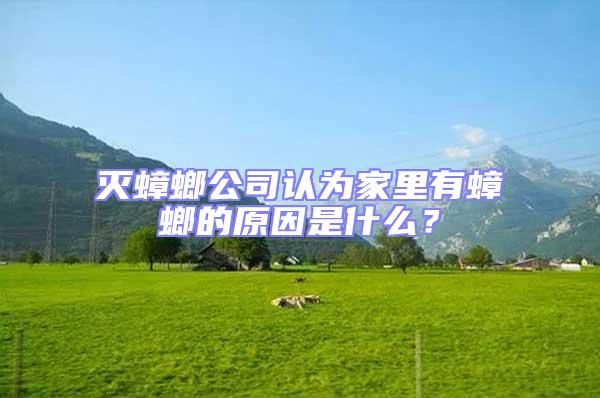 滅蟑螂公司認(rèn)為家里有蟑螂的原因是什么?