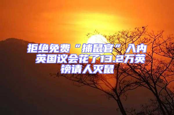 拒絕免費(fèi)“捕鼠官”入內(nèi) 英國(guó)議會(huì)花了13.2萬(wàn)英鎊請(qǐng)人滅鼠