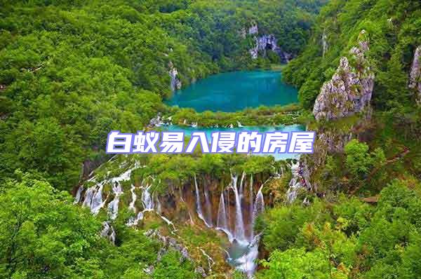 白蟻易入侵的房屋