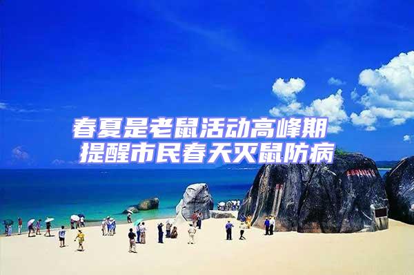 春夏是老鼠活動高峰期 提醒市民春天滅鼠防病