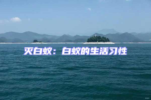 滅白蟻:白蟻的生活習性