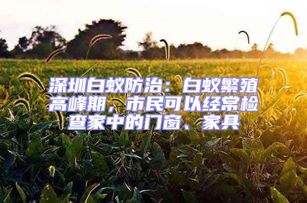 深圳白蟻防治：白蟻繁殖高峰期，市民可以經常檢查家中的門窗、家具