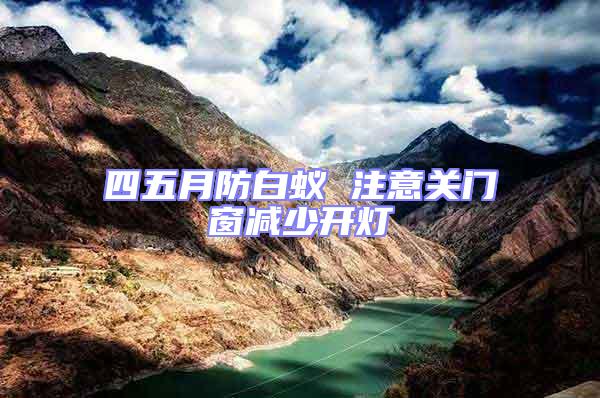 四五月防白蟻 注意關門窗減少開燈