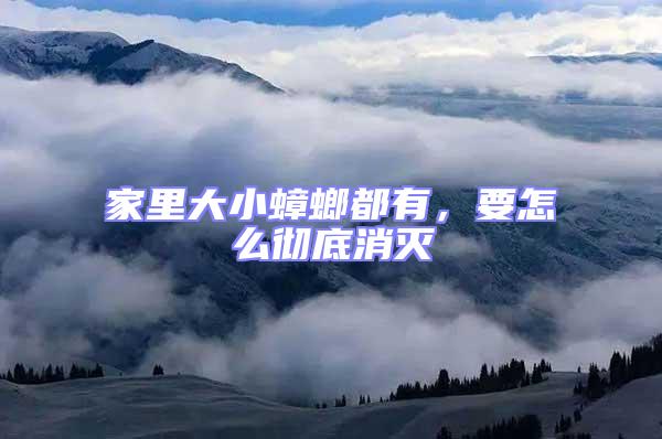 家里大小蟑螂都有，要怎么徹底消滅