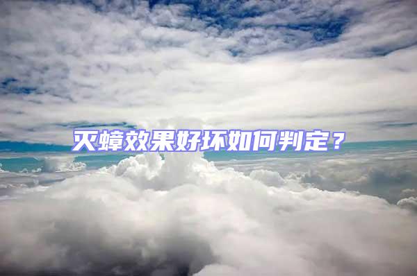 滅蟑效果好壞如何判定?