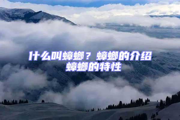什么叫蟑螂?蟑螂的介紹 蟑螂的特性
