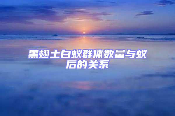 黑翅土白蟻群體數(shù)量與蟻后的關(guān)系