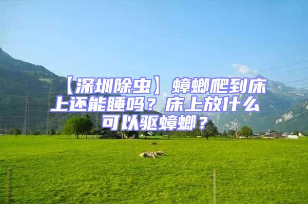 【深圳除蟲】蟑螂爬到床上還能睡嗎?床上放什么可以驅(qū)蟑螂?