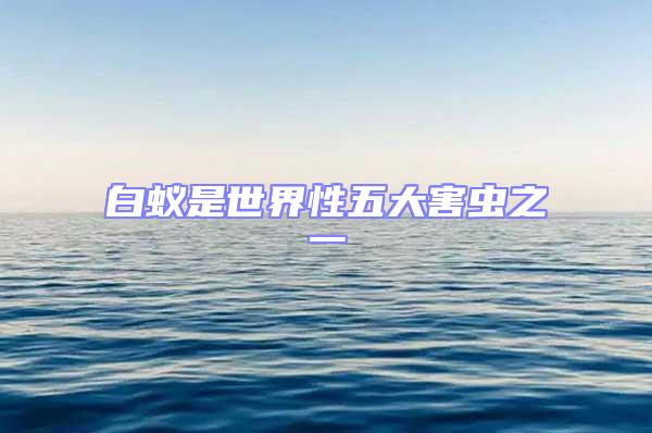 白蟻是世界性五大害蟲(chóng)之一