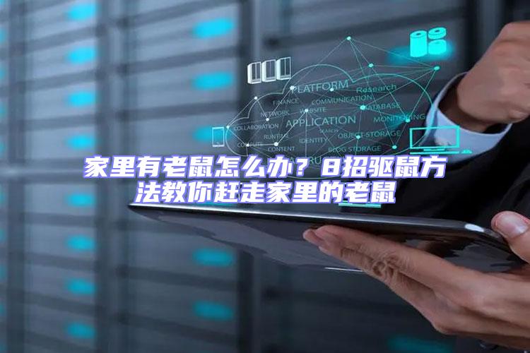 家里有老鼠怎么辦？8招驅鼠方法教你趕走家里的老鼠