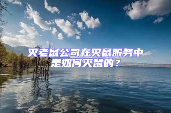 滅老鼠公司在滅鼠服務中是如何滅鼠的？