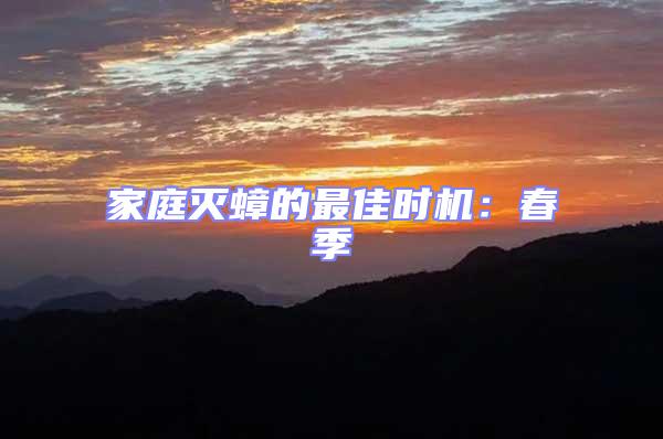 家庭滅蟑的最佳時機：春季