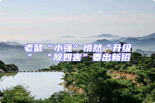 老鼠“小強(qiáng)”悄然“升級” “除四害”要出新招