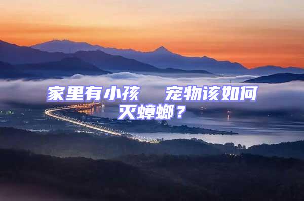 家里有小孩 寵物該如何滅蟑螂?