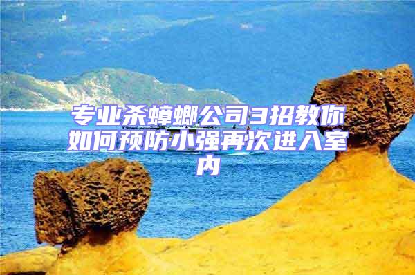 專業(yè)殺蟑螂公司3招教你如何預防小強再次進入室內(nèi)