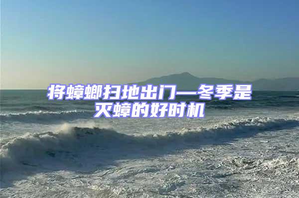 將蟑螂掃地出門—冬季是滅蟑的好時(shí)機(jī)