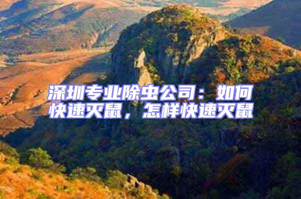 深圳專業除蟲公司:如何快速滅鼠,怎樣快速滅鼠