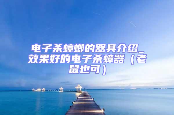 電子殺蟑螂的器具介紹_效果好的電子殺蟑器(老鼠也可)