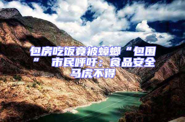 包房吃飯竟被蟑螂“包圍” 市民呼吁:食品安全馬虎不得