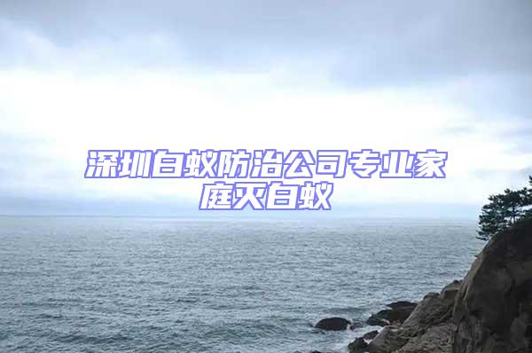 深圳白蟻防治公司專業家庭滅白蟻