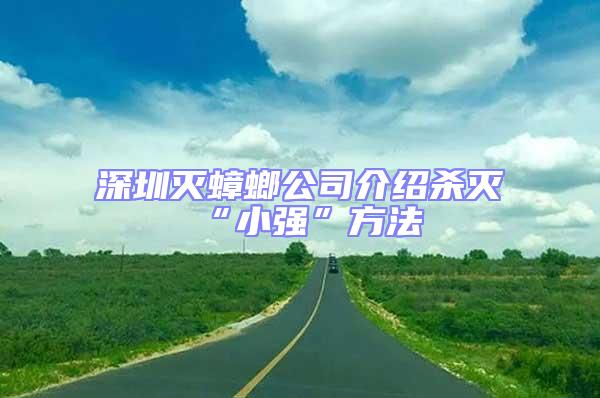 深圳滅蟑螂公司介紹殺滅“小強”方法