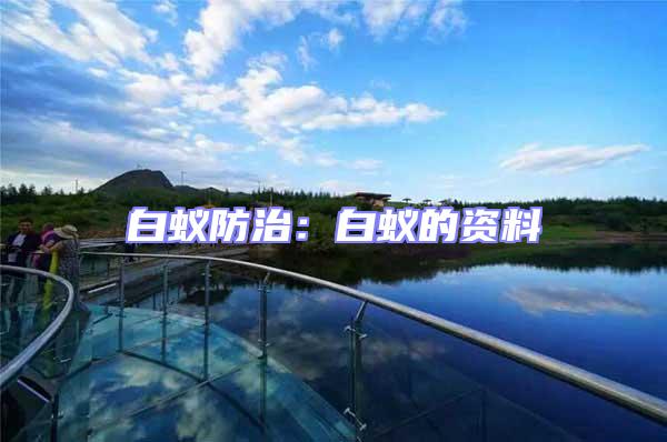 白蟻防治:白蟻的資料