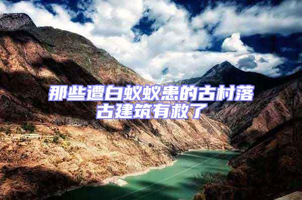 那些遭白蟻蟻患的古村落古建筑有救了