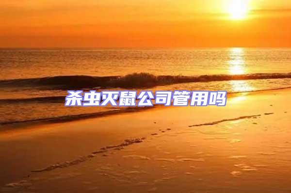 殺蟲滅鼠公司管用嗎