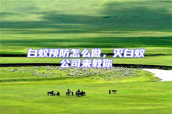 白蟻預(yù)防怎么做,滅白蟻公司來教你