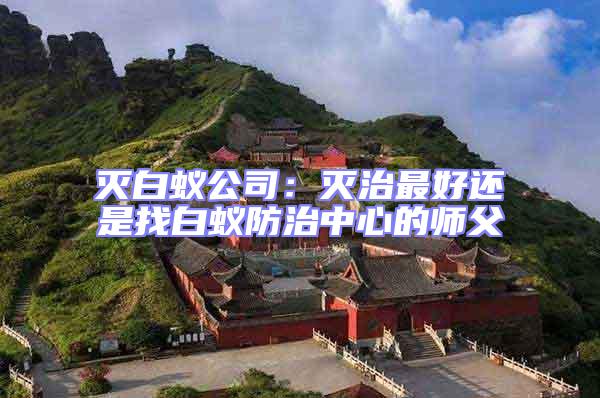 滅白蟻公司:滅治最好還是找白蟻防治中心的師父