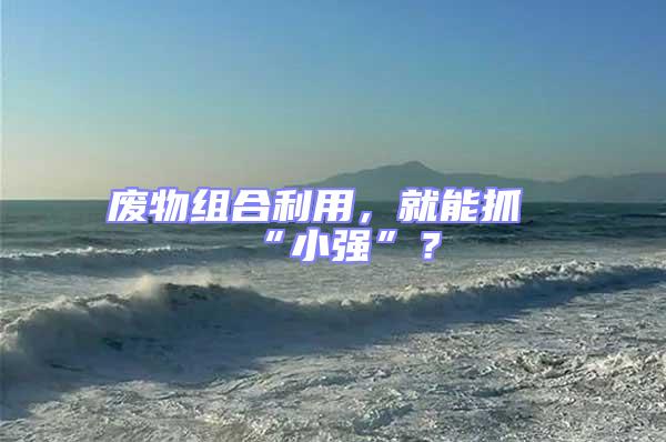 廢物組合利用，就能抓“小強”？