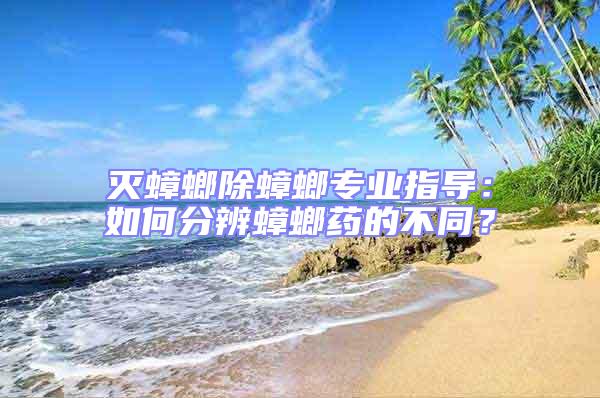 滅蟑螂除蟑螂專業(yè)指導(dǎo):如何分辨蟑螂藥的不同?