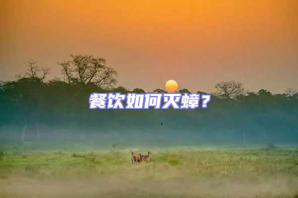 餐飲如何滅蟑？