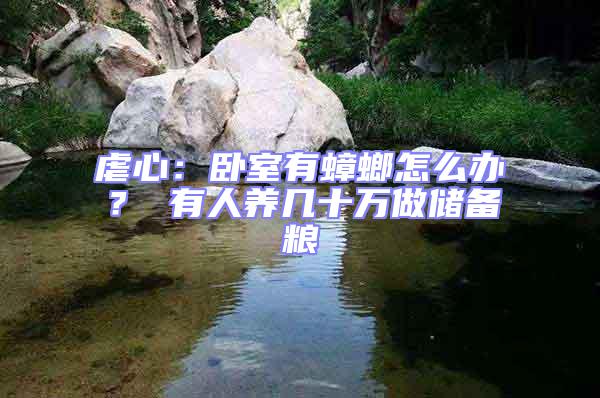 虐心：臥室有蟑螂怎么辦？ 有人養(yǎng)幾十萬做儲備糧