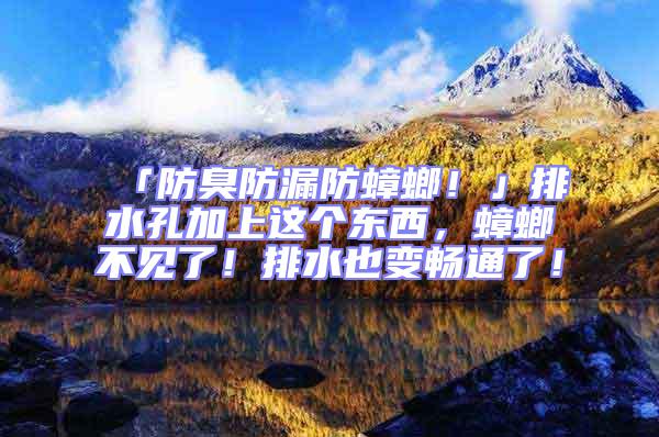 「防臭防漏防蟑螂！」排水孔加上這個東西，蟑螂不見了！排水也變暢通了！