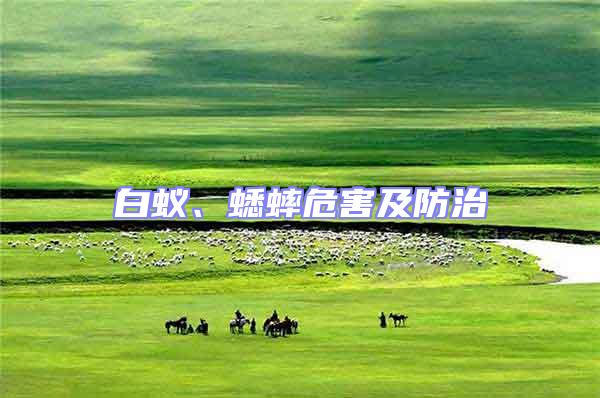 白蟻、蟋蟀危害及防治