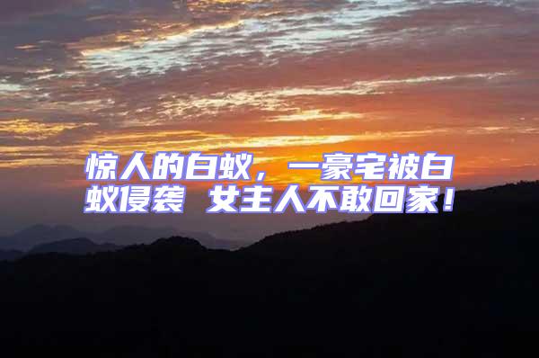 驚人的白蟻，一豪宅被白蟻侵襲 女主人不敢回家！