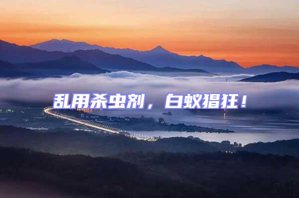 亂用殺蟲劑，白蟻猖狂！