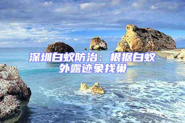 深圳白蟻防治：根據(jù)白蟻外露跡象找巢