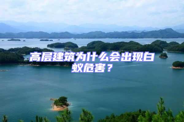 高層建筑為什么會出現白蟻危害？