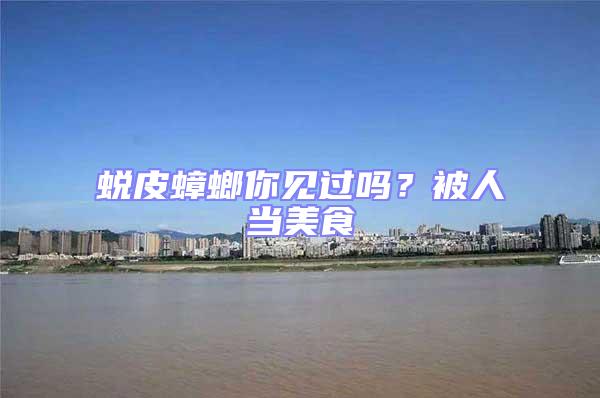 蛻皮蟑螂你見過嗎？被人當(dāng)美食